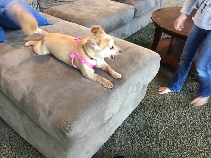 Our Baby Patty With Her Old Lady Anger Issues