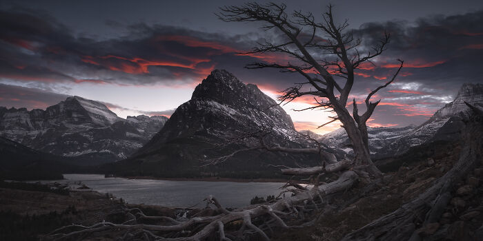 Epson-International-Pano-Awards-Winners-2020