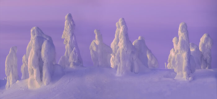 Epson-International-Pano-Awards-Winners-2020