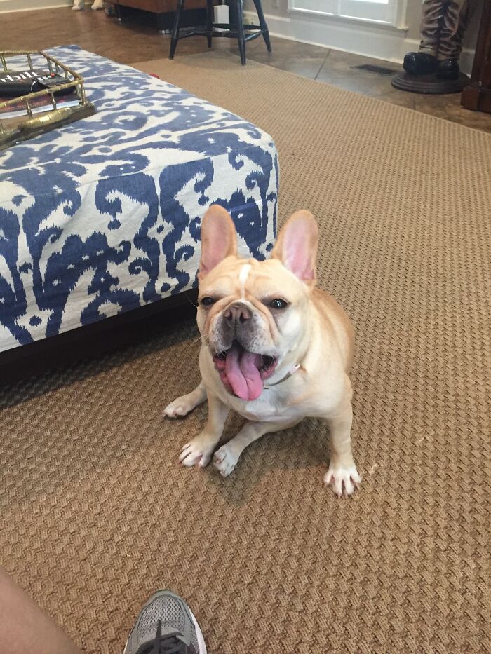 Took This Picture Mid Bark