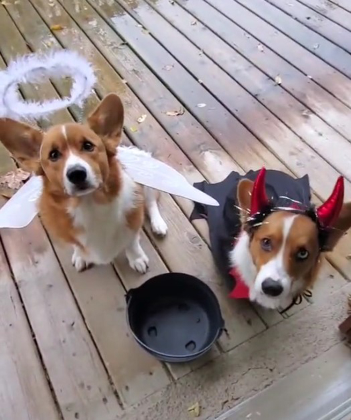 Good Boy And Bad Boy