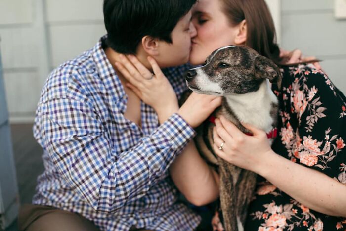 Didnt-Want-A-Dog-Challenge