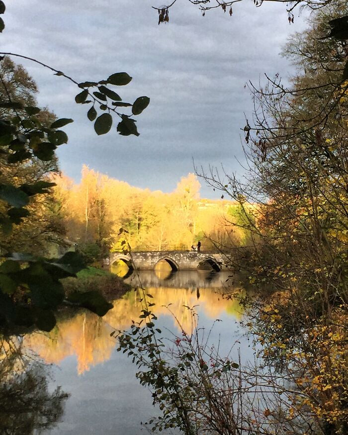 UK- Somewhere In Somerset