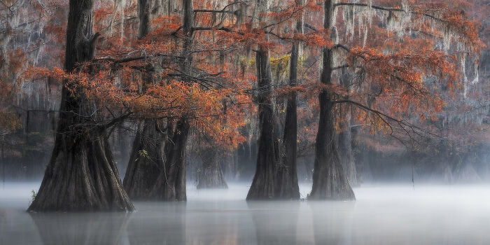 Epson-International-Pano-Awards-Winners-2020