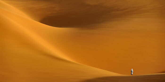 Epson-International-Pano-Awards-Winners-2020