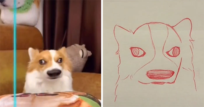 Time-Warp-Scan-Dogs-Cats-Drawing