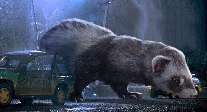 Someone Replaced Jurassic Park Dinosaurs With Ferrets, And This Version Is Probably Better Than The Original Someone Replaced Jurassic Park Dinosaurs With Ferrets, And This Version Is Probably Better Than The Original