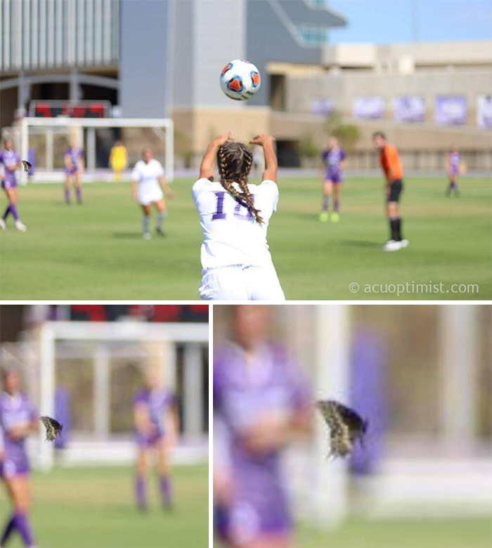 Unexpected Wildlife Photography...