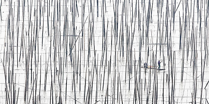 Epson-International-Pano-Awards-Winners-2020