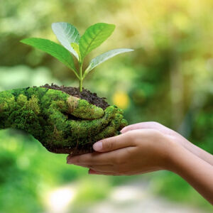 barnett-nadia165 avatar