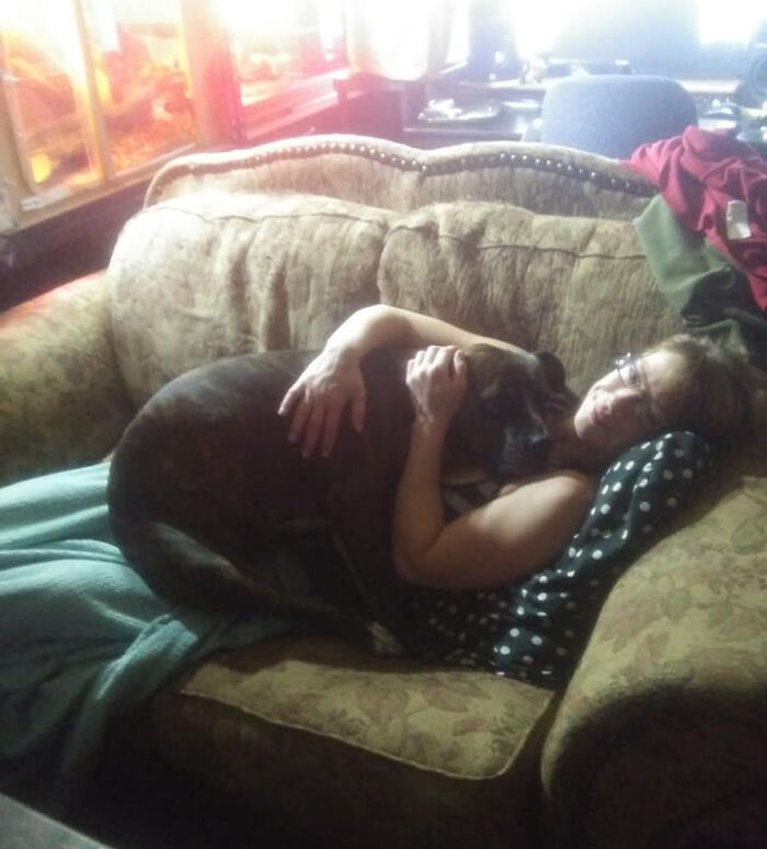 Didnt-Want-A-Dog-Challenge