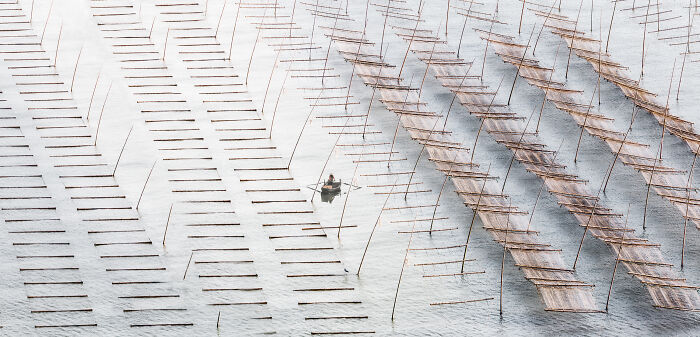 Epson-International-Pano-Awards-Winners-2020