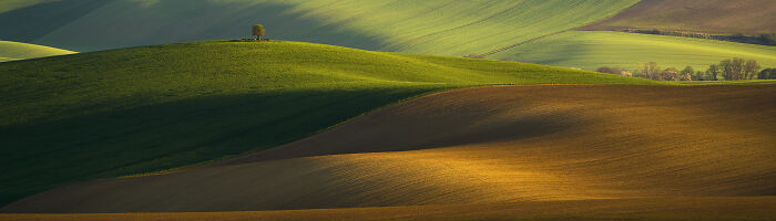 Epson-International-Pano-Awards-Winners-2020