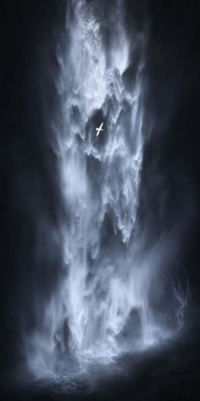 Epson-International-Pano-Awards-Winners-2020