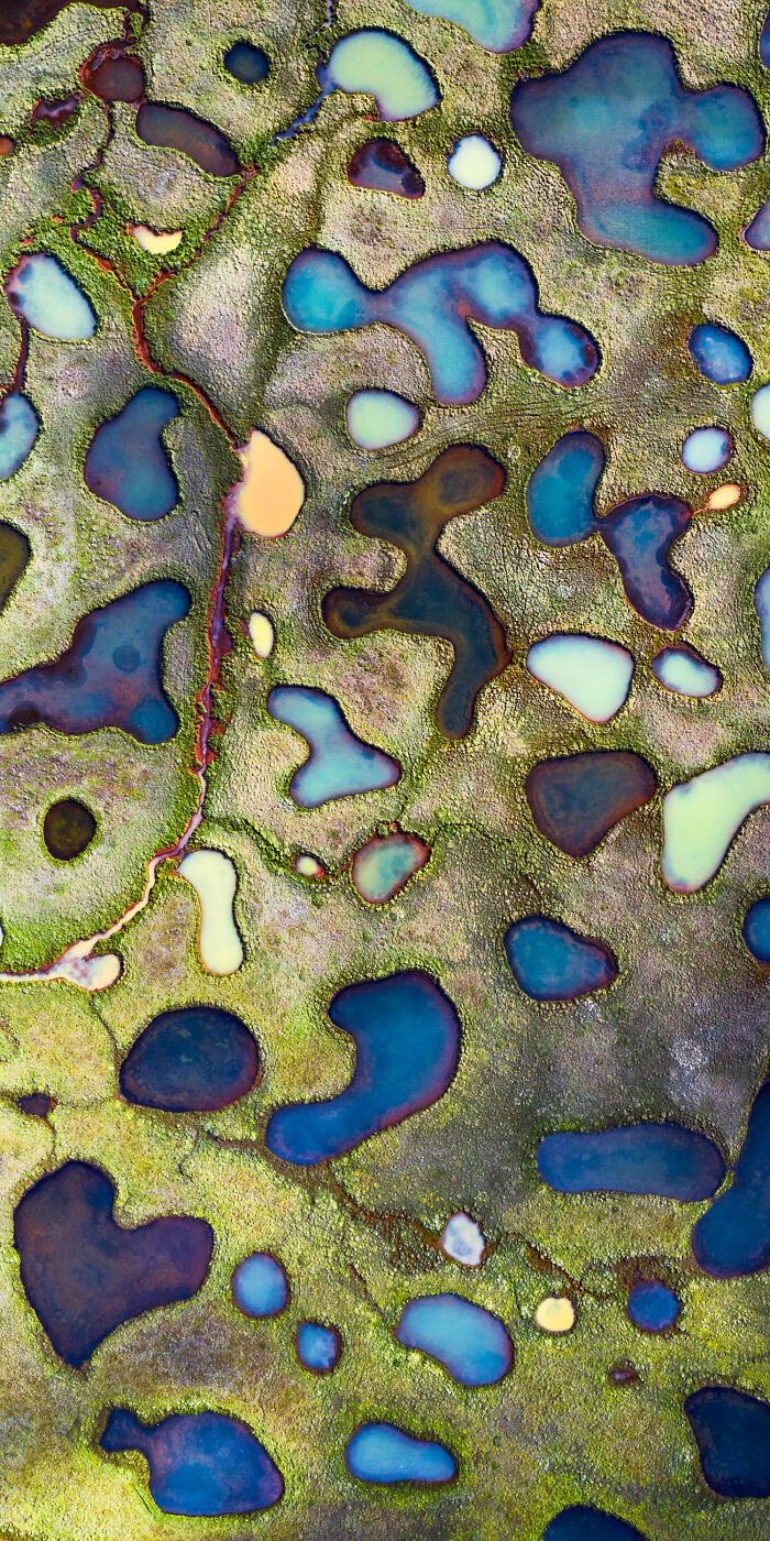 Epson-International-Pano-Awards-Winners-2020