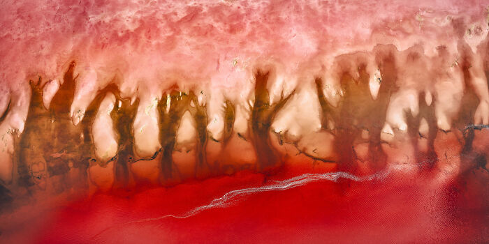 Epson-International-Pano-Awards-Winners-2020