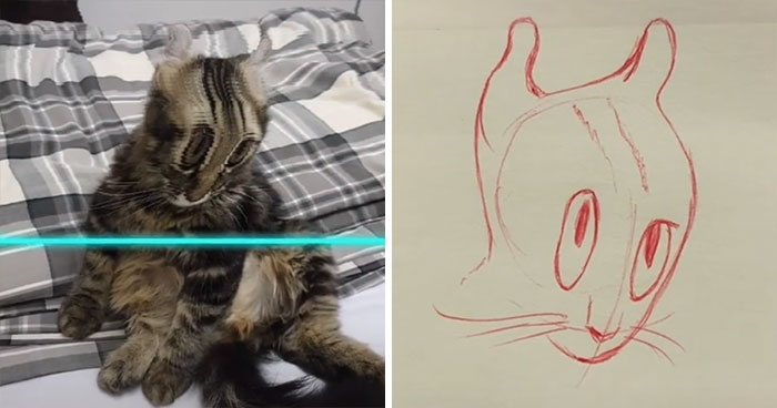 Time-Warp-Scan-Dogs-Cats-Drawing