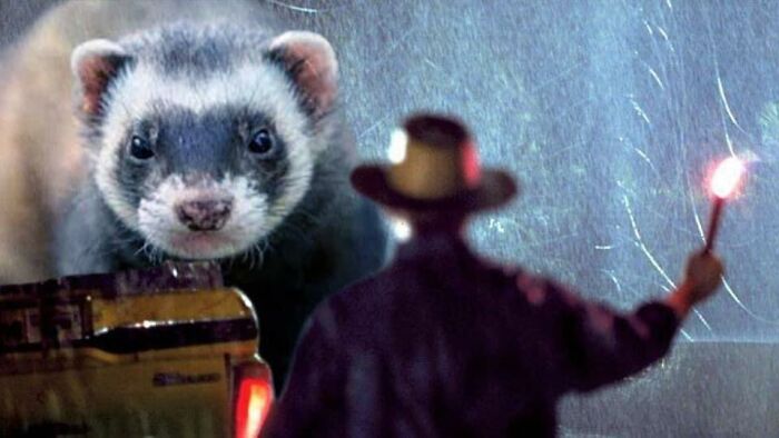 Someone Replaced Jurassic Park Dinosaurs With Ferrets, And This Version Is Probably Better Than The Original