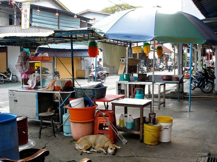 30 People Reveal The Biggest Culture Shock They’ve Ever Encountered