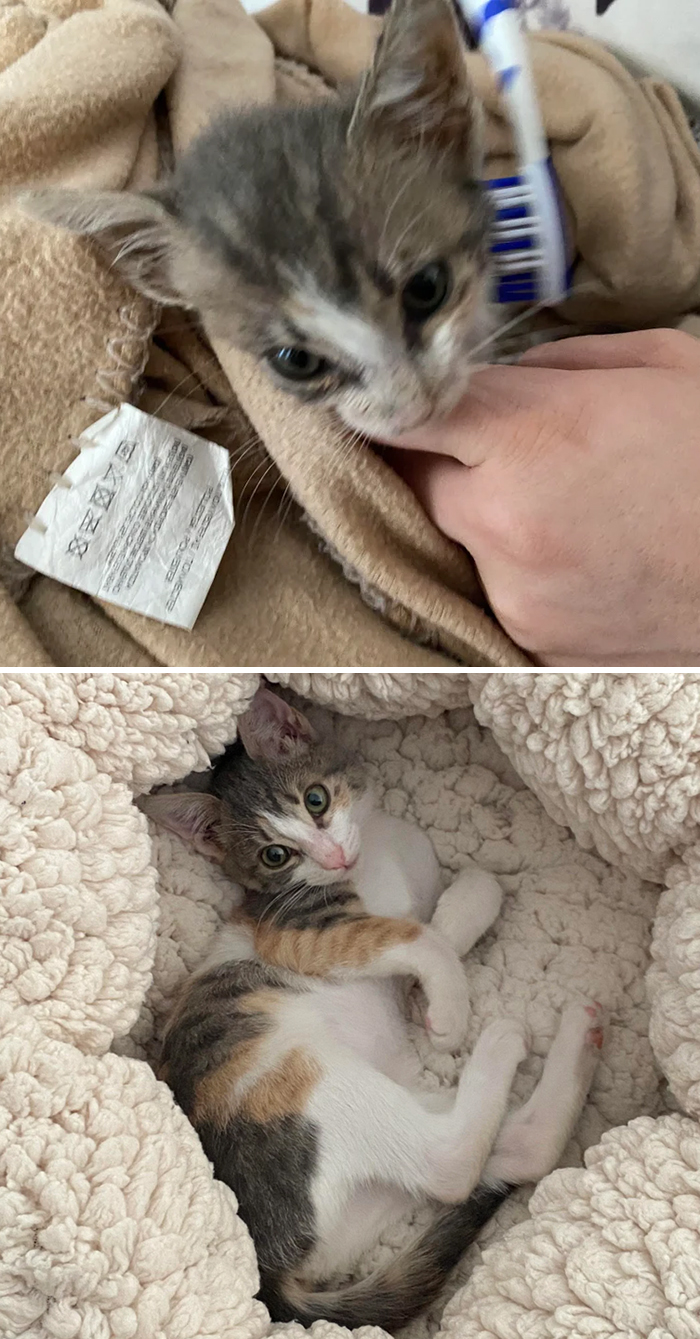 We Found Her On 4 Of October And This Is Her Now