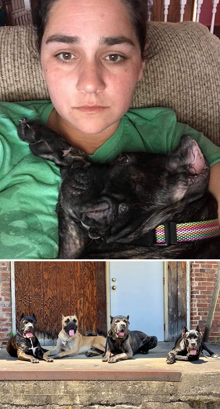 Didnt-Want-A-Dog-Challenge