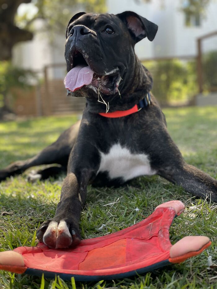 Ronnie Enjoying His Toy At The Park.
