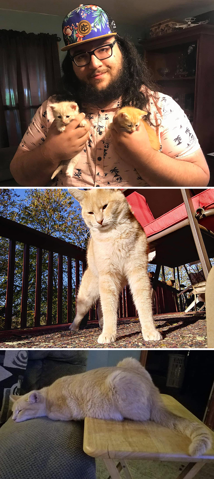 Before-After-Pet-Challenge