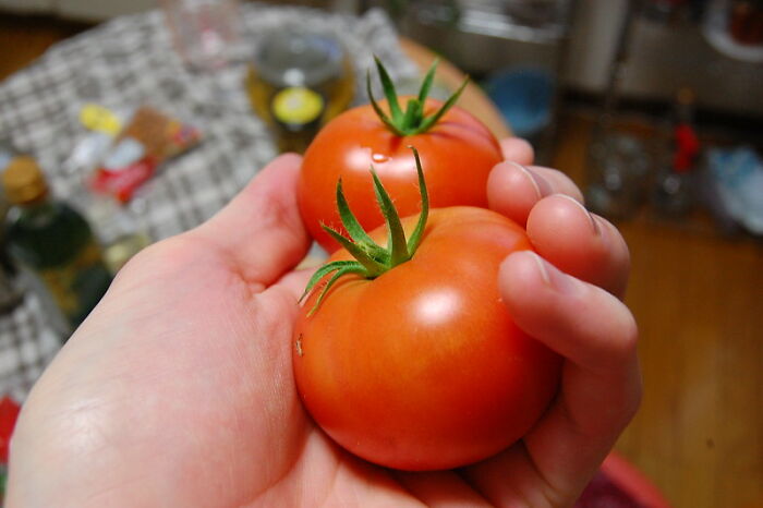 30 Parents Reveal What Secrets Their Kids Are Keeping From Them Without Knowing They're Already Aware Of It