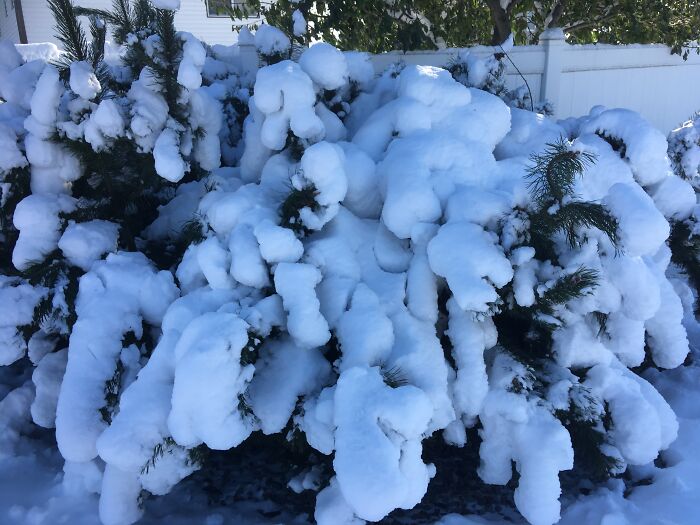 Looks Like Something Van Gogh Would Have A Time With.