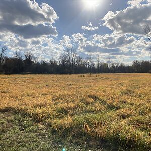 angelic_countenance avatar