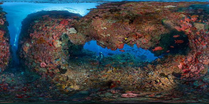 Epson-International-Pano-Awards-Winners-2020