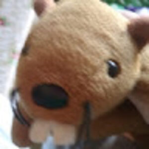 hannahlymburner avatar