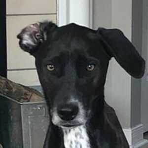 deborah_neuheimer avatar