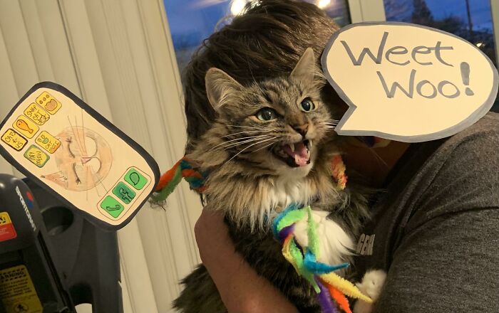 Macie Is A Cat Call For Halloween. “Weet Woo!”