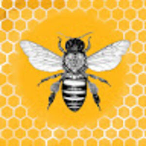 justanothersoul avatar