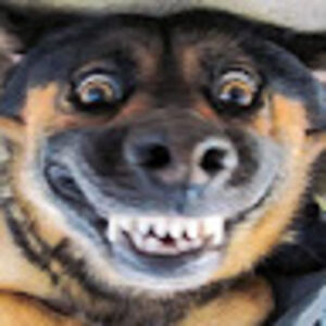 nataliachavez avatar