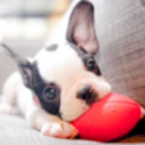 madisonzelanko avatar