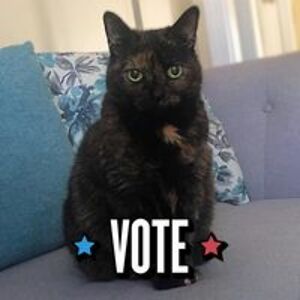 kindnessandkarma avatar