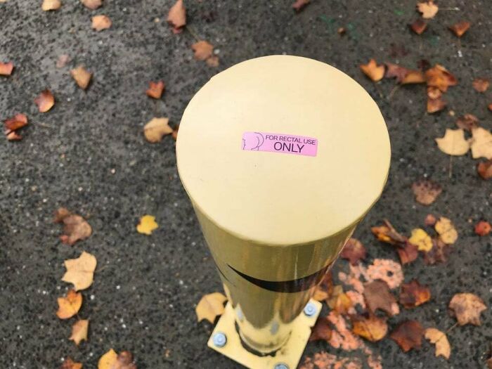 They Have A Purpose Now!