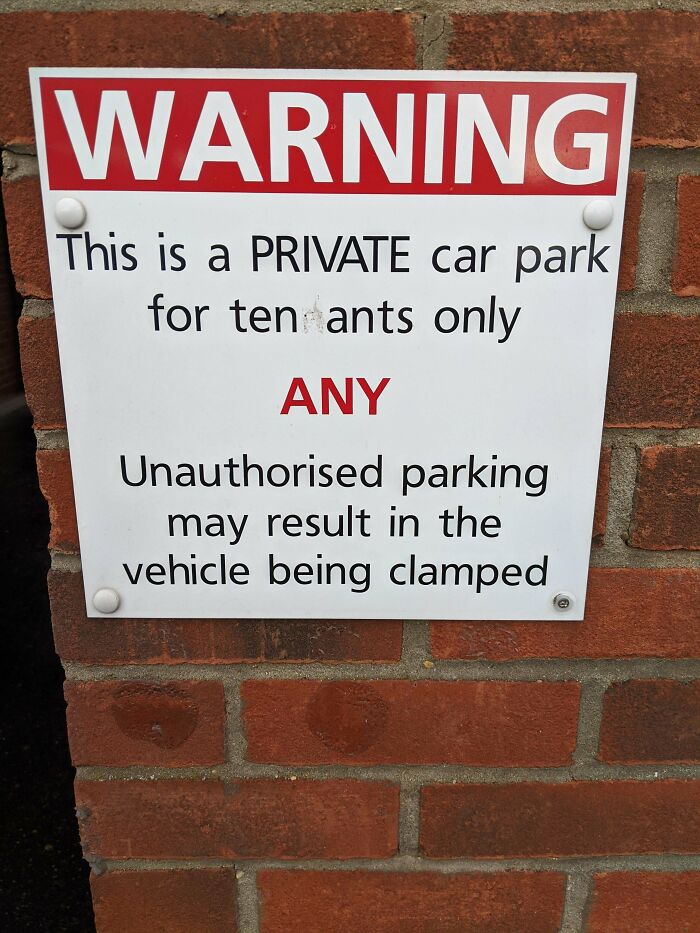 What Is This, A Car Park For Ants?