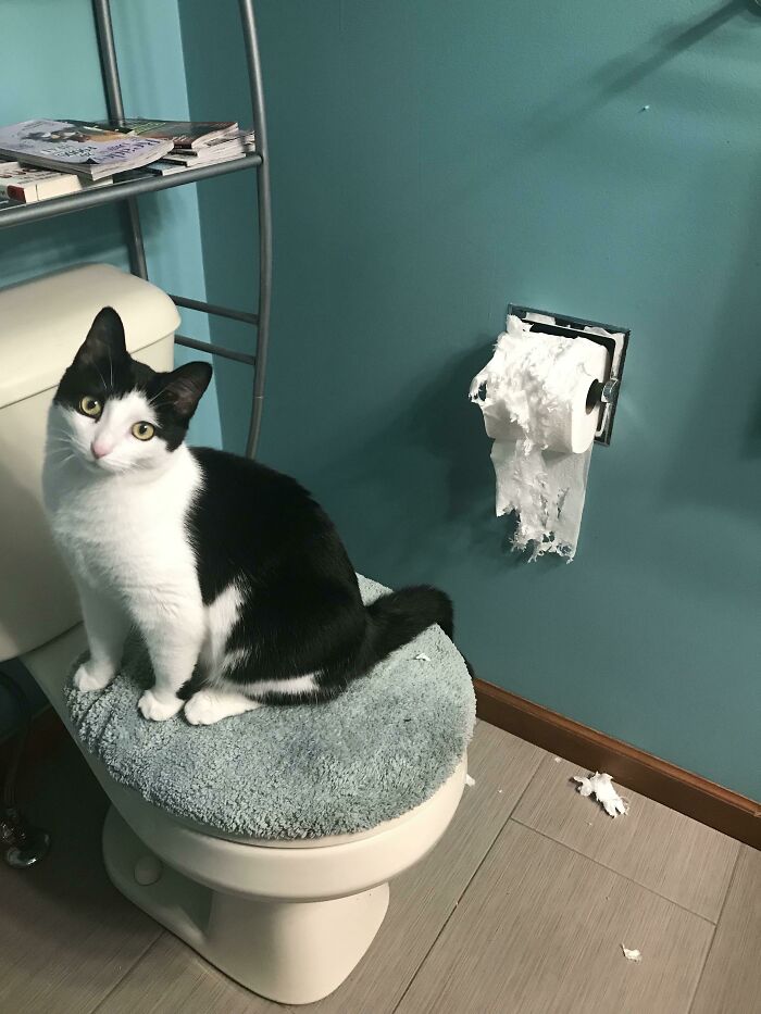 Artist And Her Masterpiece