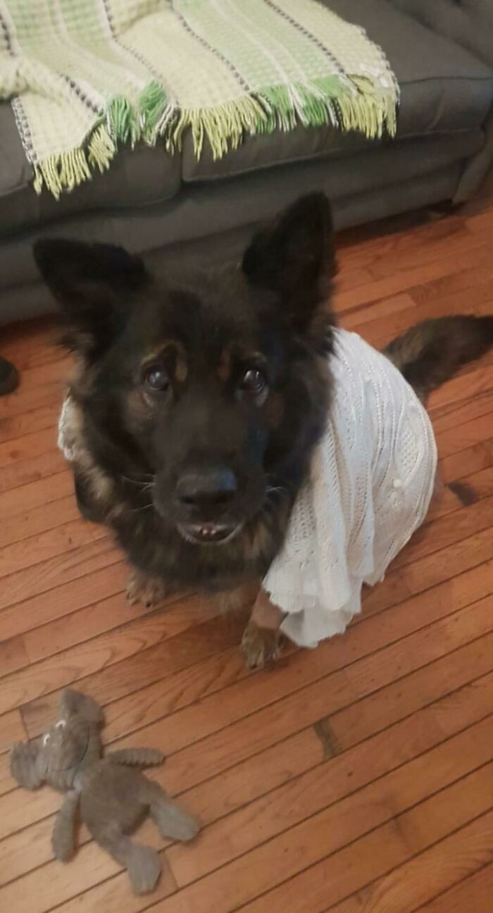 Guess Who's 17 Today And Still Has Her Favourite Toy From A Puppy