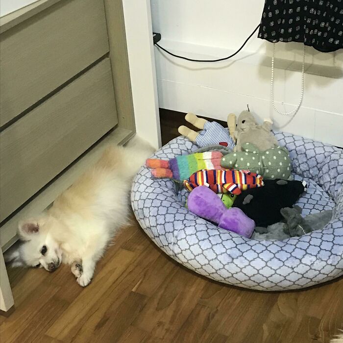 Safety Of Toys > Personal Comfort