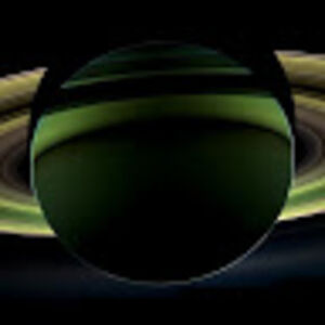 robertoruziscka avatar