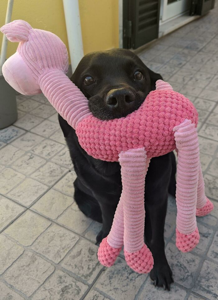 My Old Lady Showing Off Her New Toy