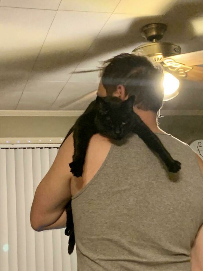 When She Goes Full Noodle, We Know She’s In Her Happy Place