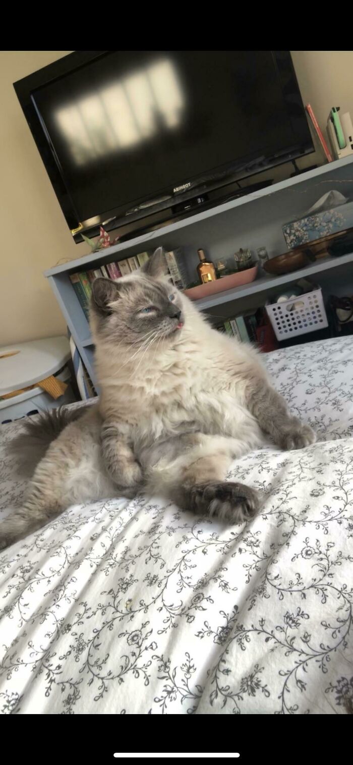 He Had A Shower Thought Mid Bath