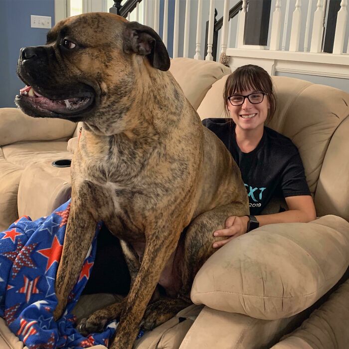 My Giant Lapdog