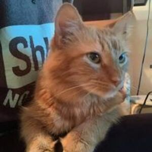 sharon_vanderplough_smith avatar