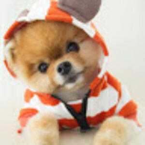 boththangsarethefattestanduglestintheworld avatar